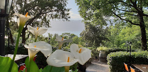 Photo n°49 de Restaurant Le Côté Lac à Les Salles-sur-Verdon (Restaurant)