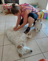 Photo n°14 de Entre Mes Main'S à Eyguières (Animalerie)