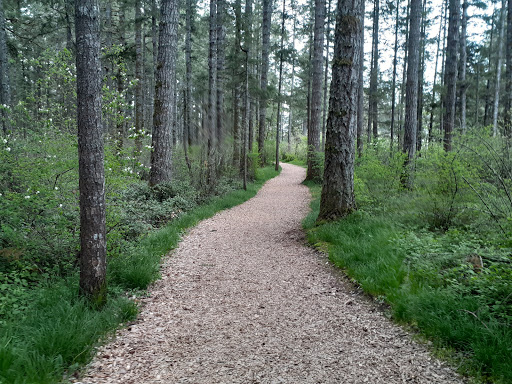 Huff ’n’ Puff Trail
