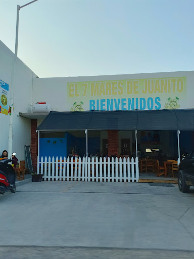 EL 7 MARES DE JUANITO