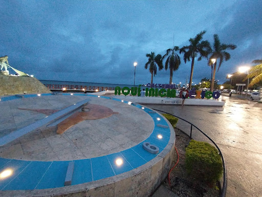 Chetumal Bus Service - Thumbnail