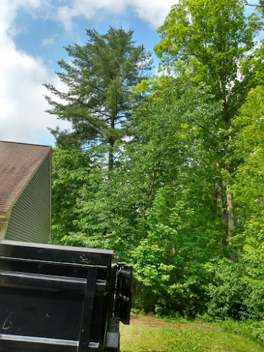 Restoration Tree Service