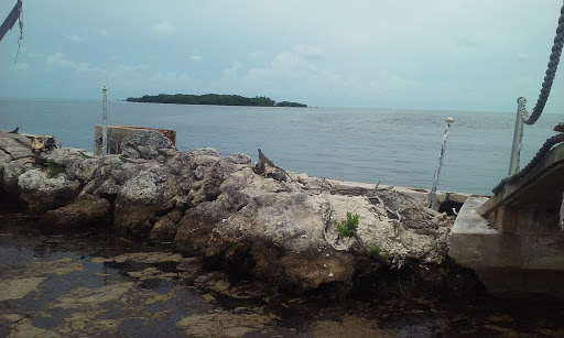 A1 Seaclear, LLC - Thumbnail