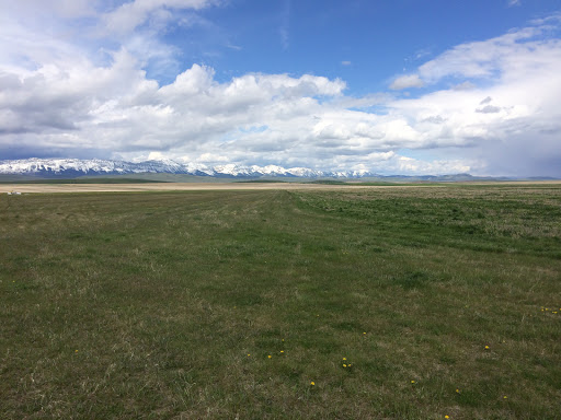 Cowley Glider Strip