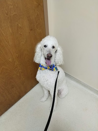 Barrett Station Veterinary Clinic