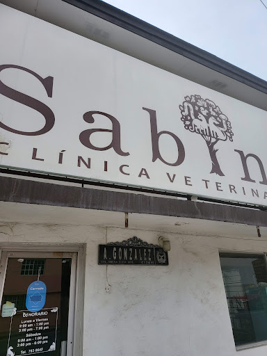 Clínica veterinaria Sabino - Thumbnail