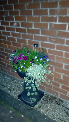 Oscott Pets - Visual