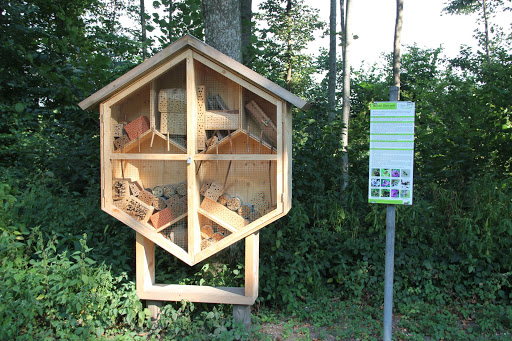 Löwensternpark - Visual