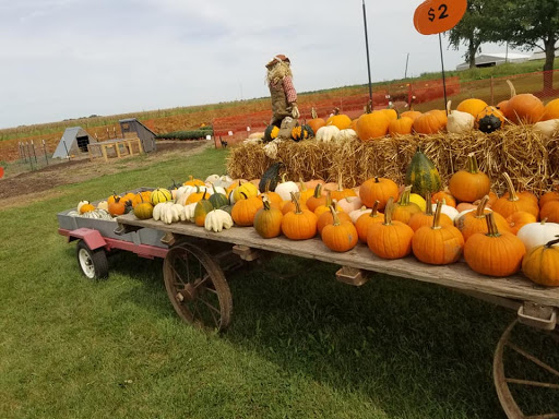 Rinkel Pumpkin Farm - Thumbnail