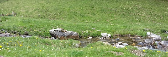 Payolle