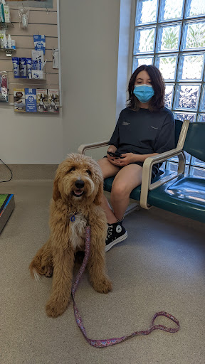 The Broadmeadows Vet - Thumbnail
