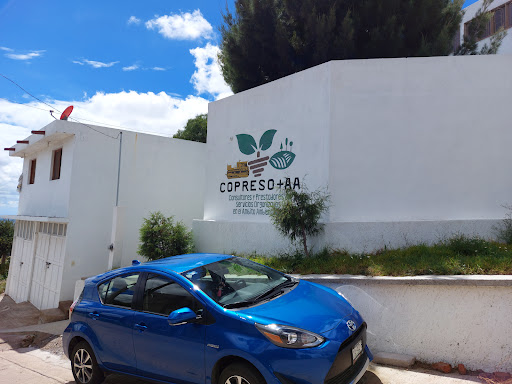 Copreso - Visual