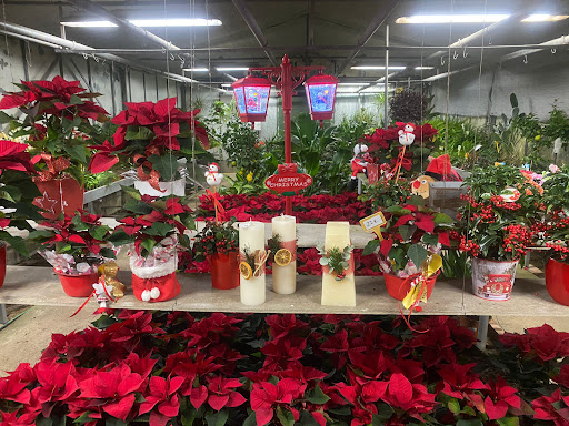 Ricardo Font Floristes - Thumbnail