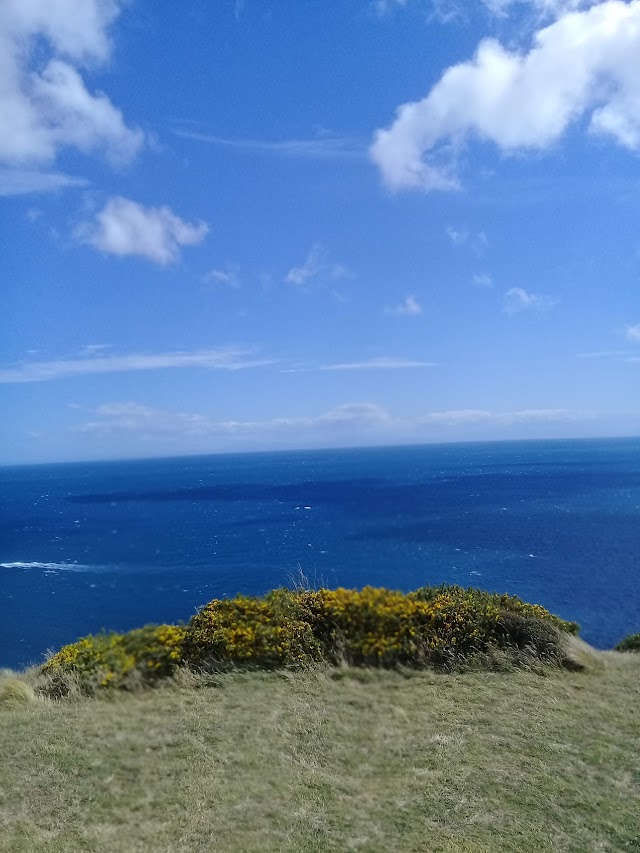 Pencarrow Lighthouse