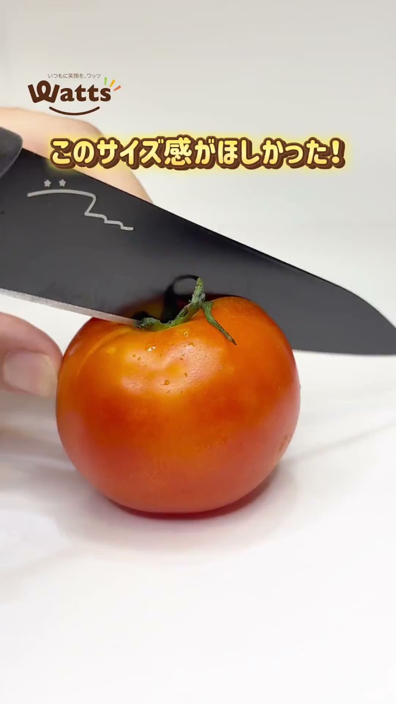 ワッツ 夢タウン別棟店