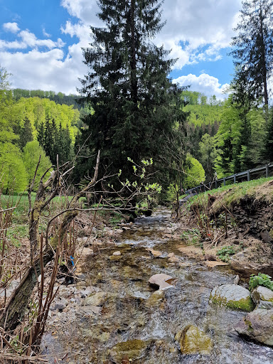 Historischer Goldwaschplatz Kugelbaum bei Steinheid - Thumbnail