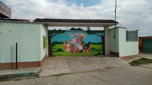 Jardín de Niños " Luis Enrique Erro"