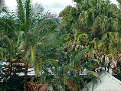 Photos of Healthy Day Inn