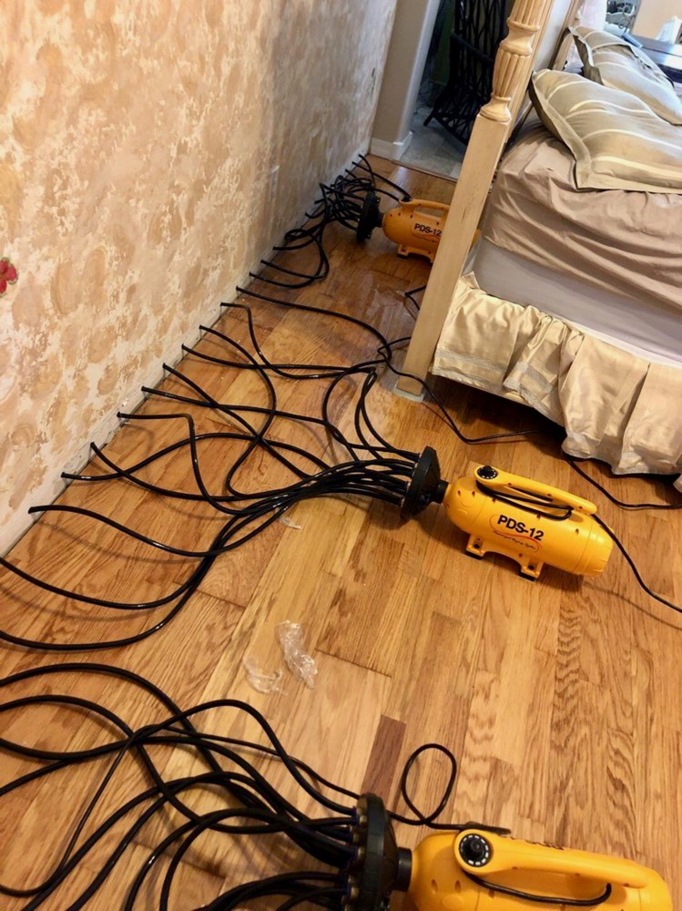 Spotless Solutions photo