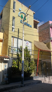 Colegio Medico Ayacucho 0