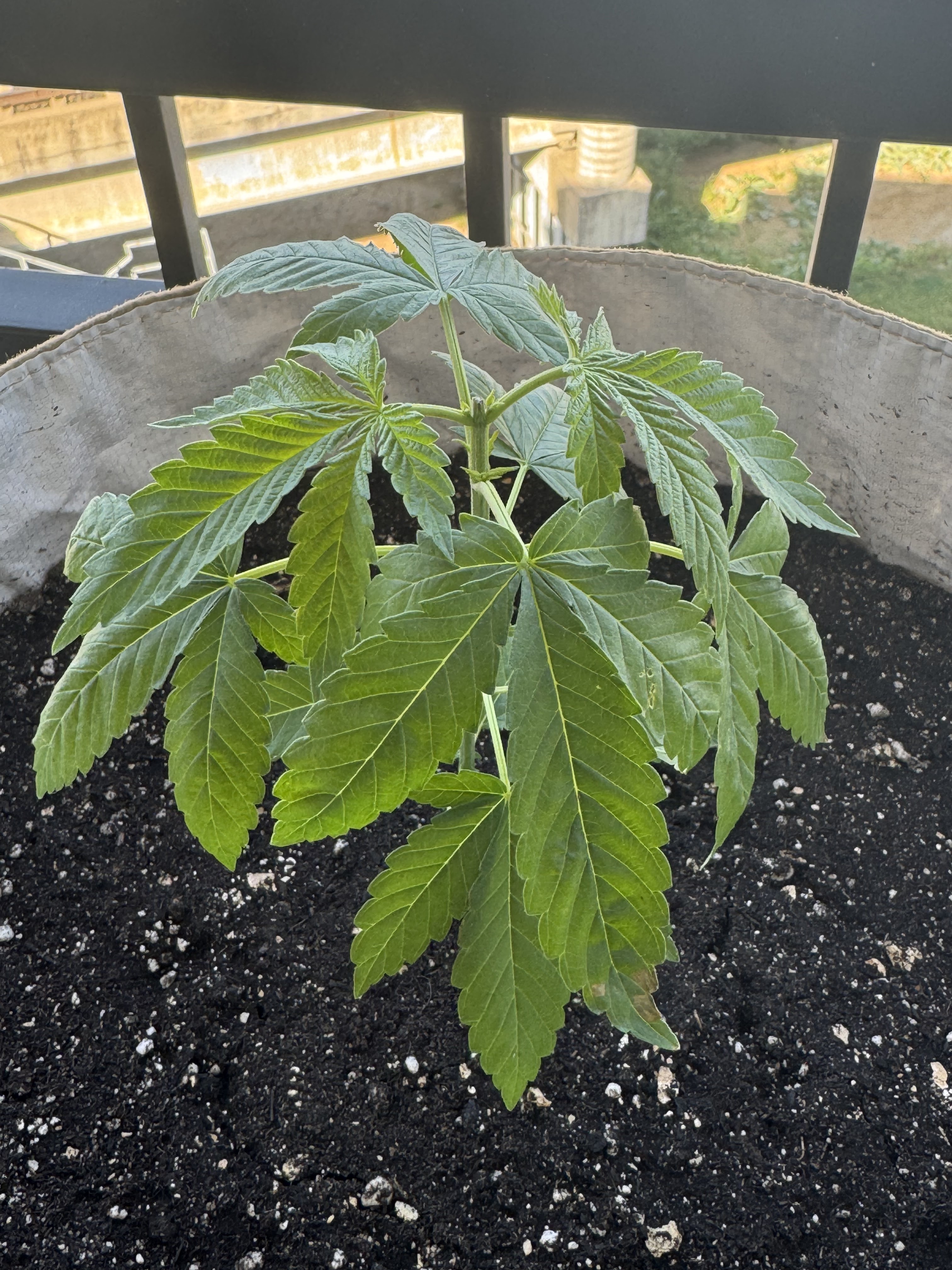 GrowActive Solutions