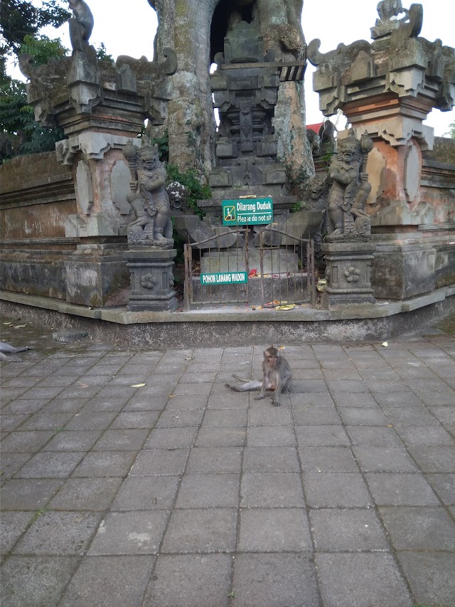 Sangeh Monkey Forest