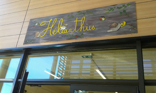 Hélianthus
