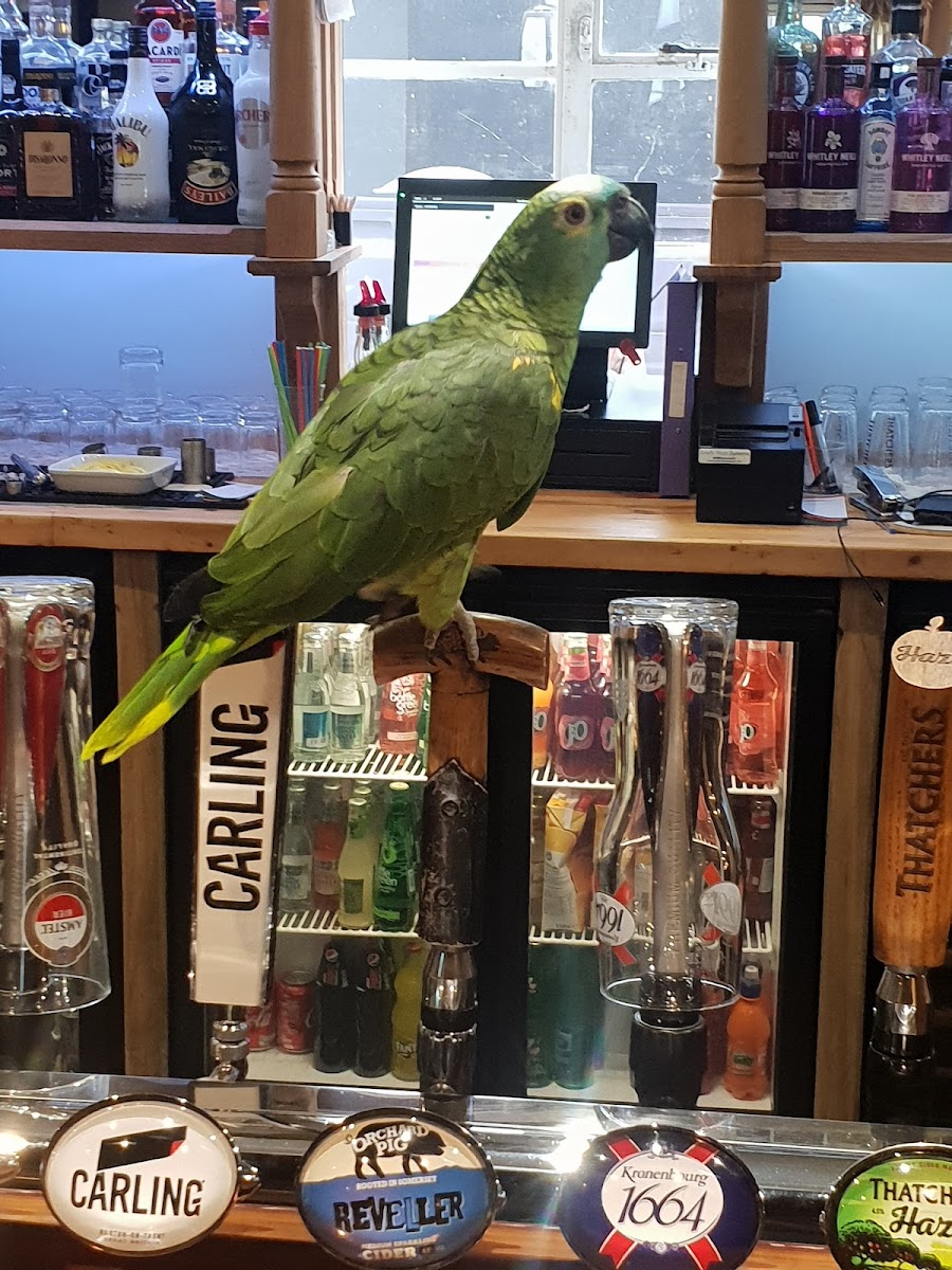 The York Inn — photo 18
