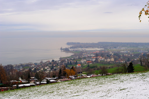 Wartensee - Visual