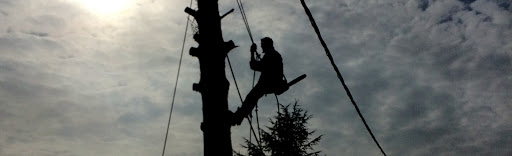 Photo de Daniel Gendarme à Limoges (87000;87100;87280)