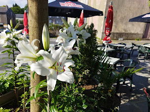 Photo n°39 de Café Le Tilleul - Marie-Jo & Daniel à Anglès (Bar-tabac)