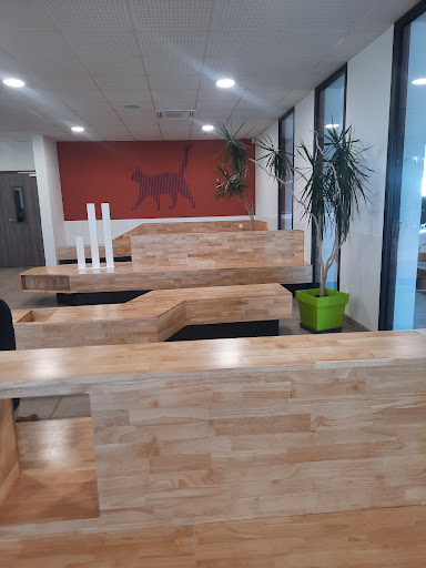 Veterinary Clinic Olliolis - Thumbnail