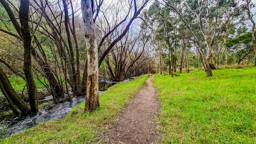 Brownhill Creek Recreation Park - Thumbnail