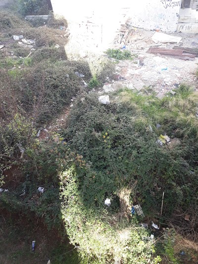 Mahzuni Sheriff Walking Path