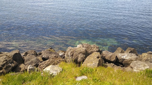 Golden Gardens Park