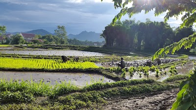 Photos of The Bamboo Experience
