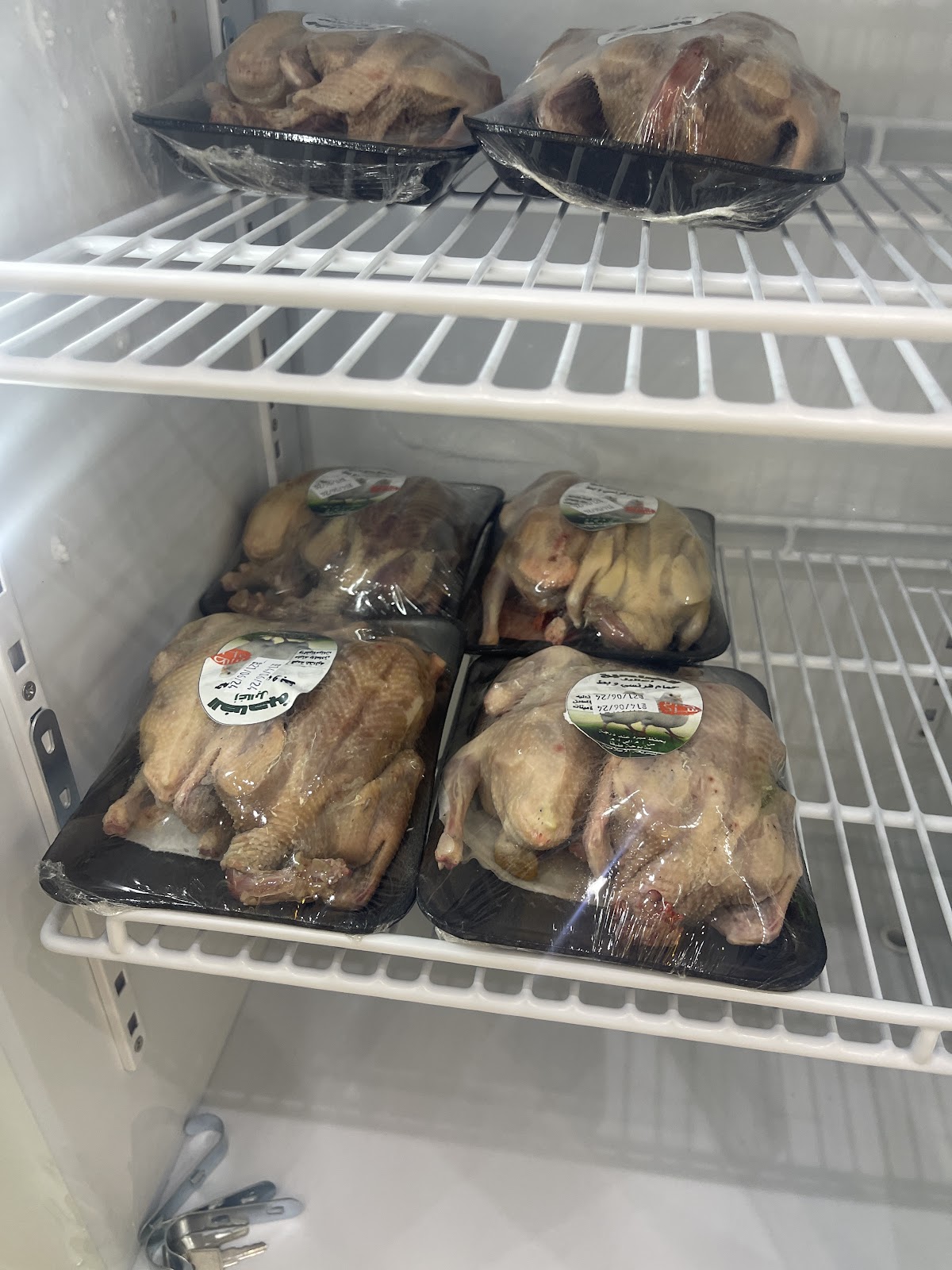 زغاليل بيت المضغوط والسليق. - صورة 4