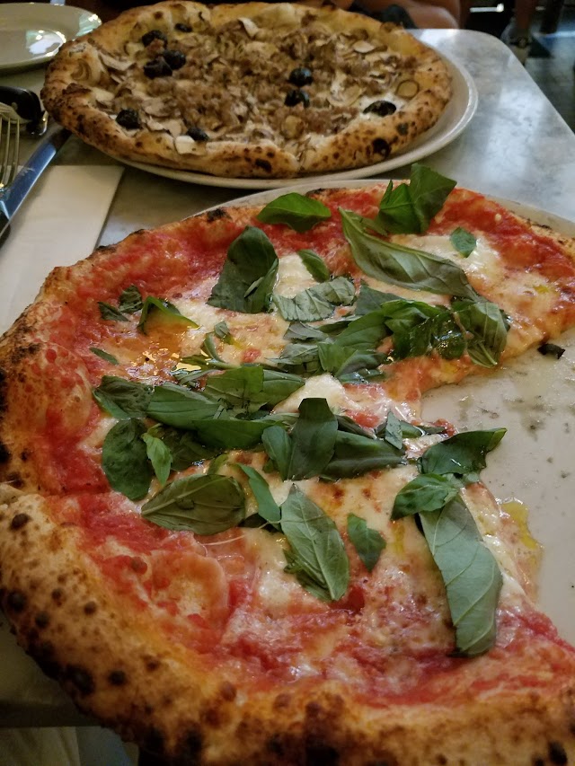Motorino