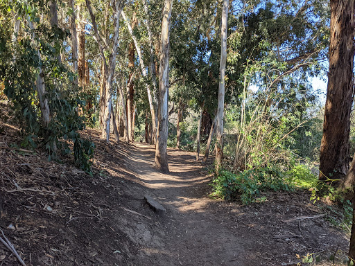 Serrano Creek Park - Thumbnail