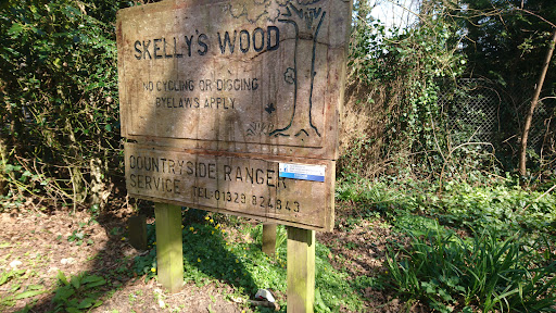 Skelly's Wood - Thumbnail
