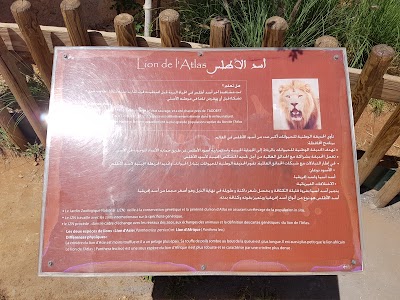 Photos of Le Lion De L'Atlas