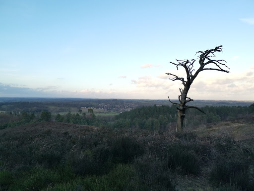 Abraham's Valley - Thumbnail