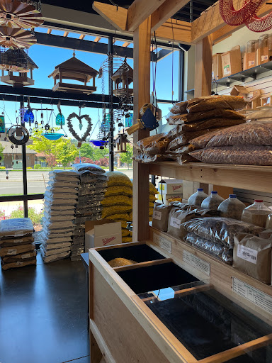 Backyard Bird Shop - Visual