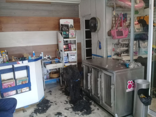 EL REFUGIO