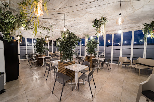 Barrocco Green - Visual