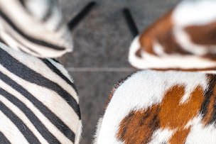 Photo n°19 de PeauDeVache.com - M.M.O Sarl à Verson (Tannerie)