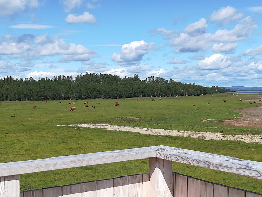 Stornäset