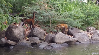 Photos of Lake Nicaragua