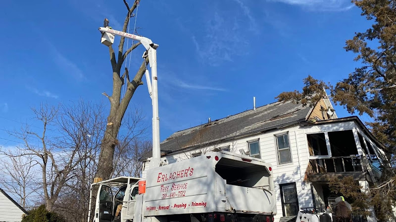 Erlacher's Tree Service.