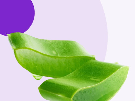 Aloe vera is a great natural moisturizer and can help to soothe dry skin. It also has anti-inflam… post image